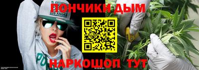 скорость Гатчина