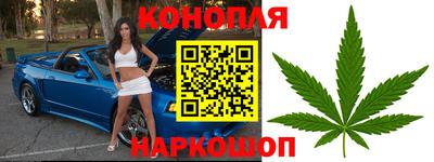 хмурый Гай