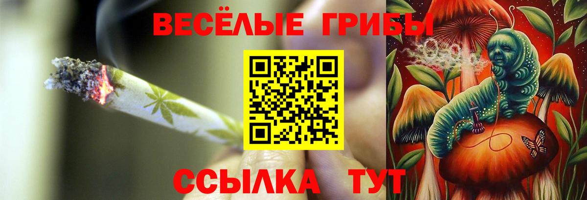 Галлюциногенные грибы Magic Shrooms Ростов-на-Дону