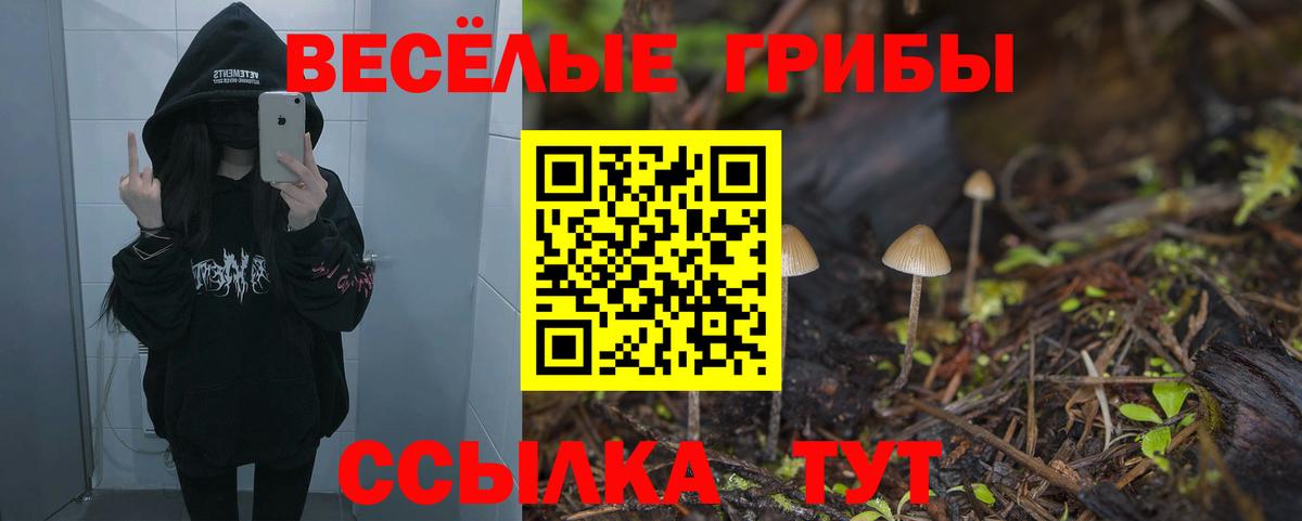 Ростов-на-Дону  Псилоцибиновые грибы ЛСД  Вход с VPN 